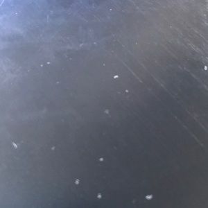 Meet your Posher, Kevin